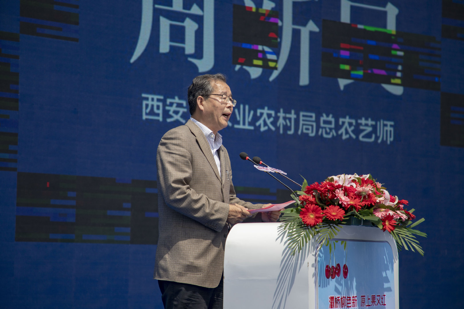 2019灞桥樱桃采摘文化旅游节启幕 樱桃红了只等你来