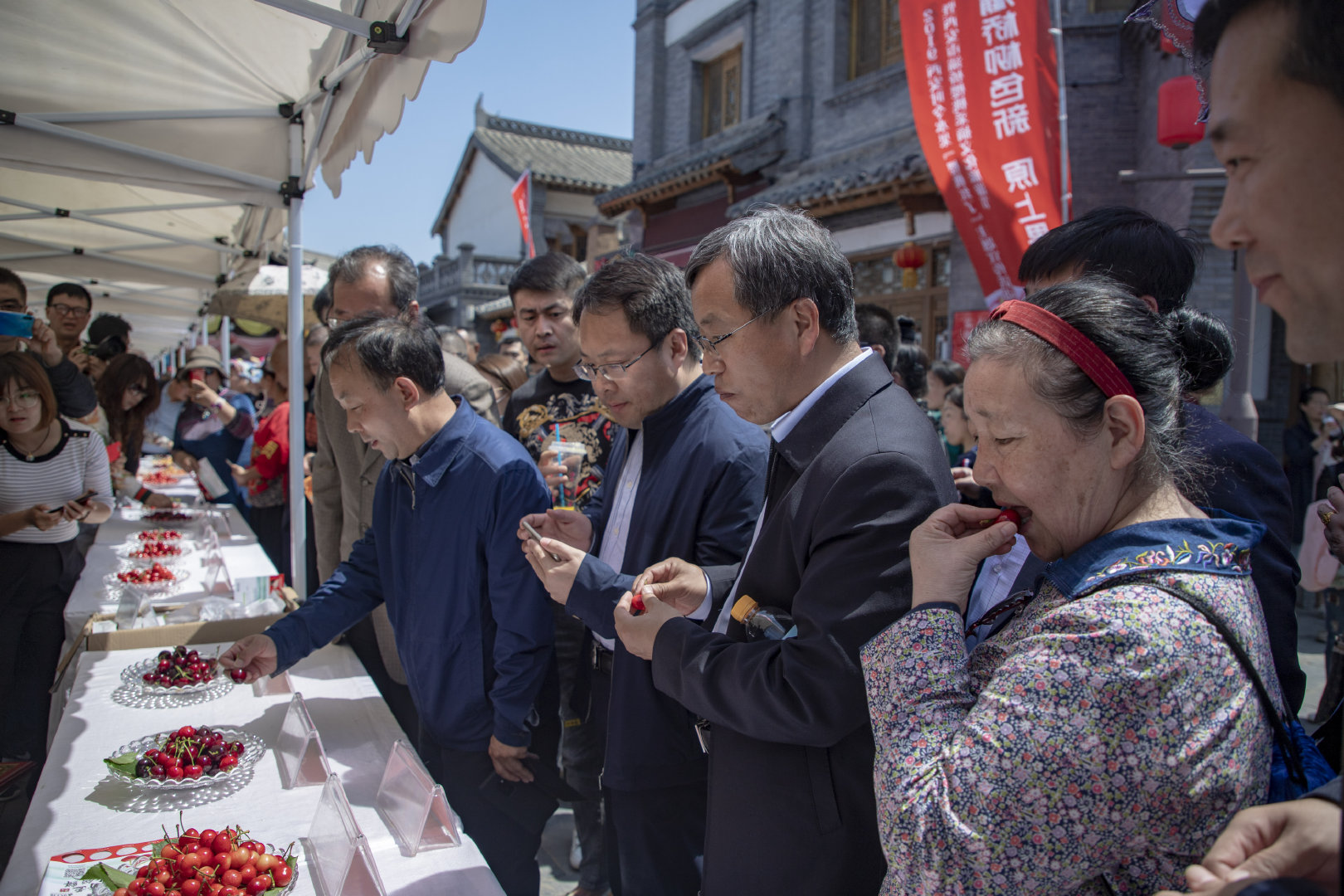 2019灞桥樱桃采摘文化旅游节启幕 樱桃红了只等你来