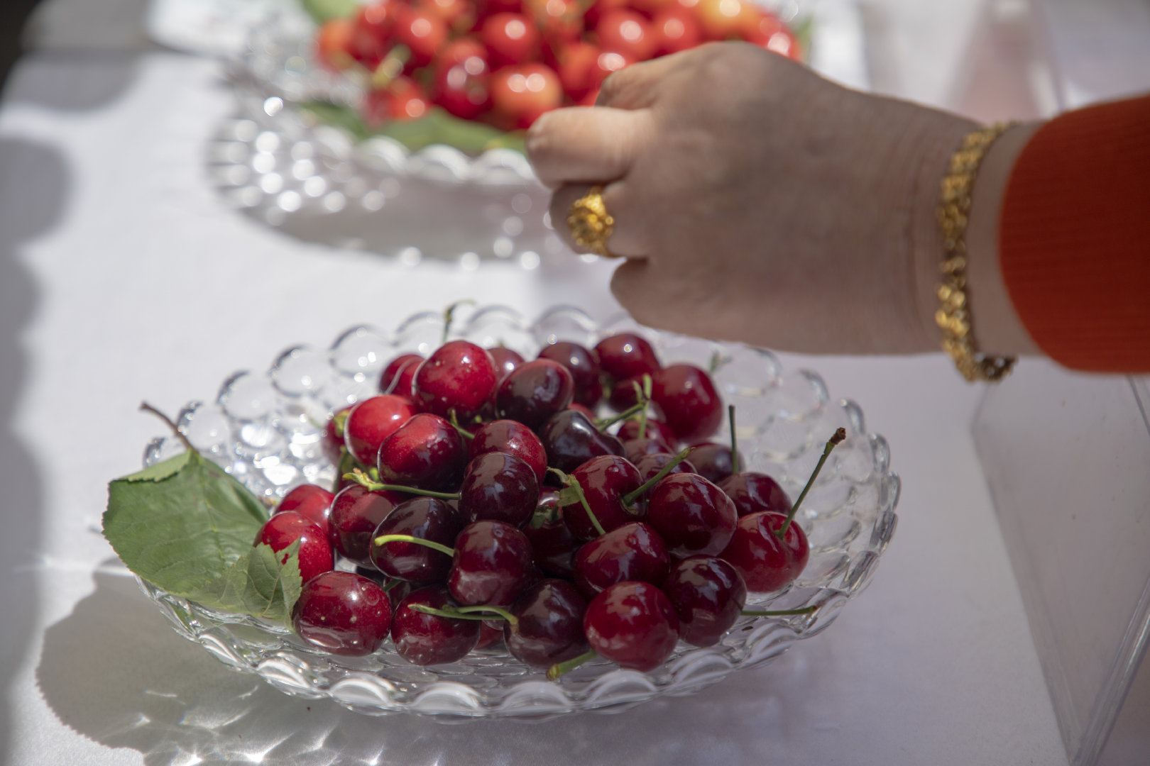 2019灞桥樱桃采摘文化旅游节启幕 樱桃红了只等你来