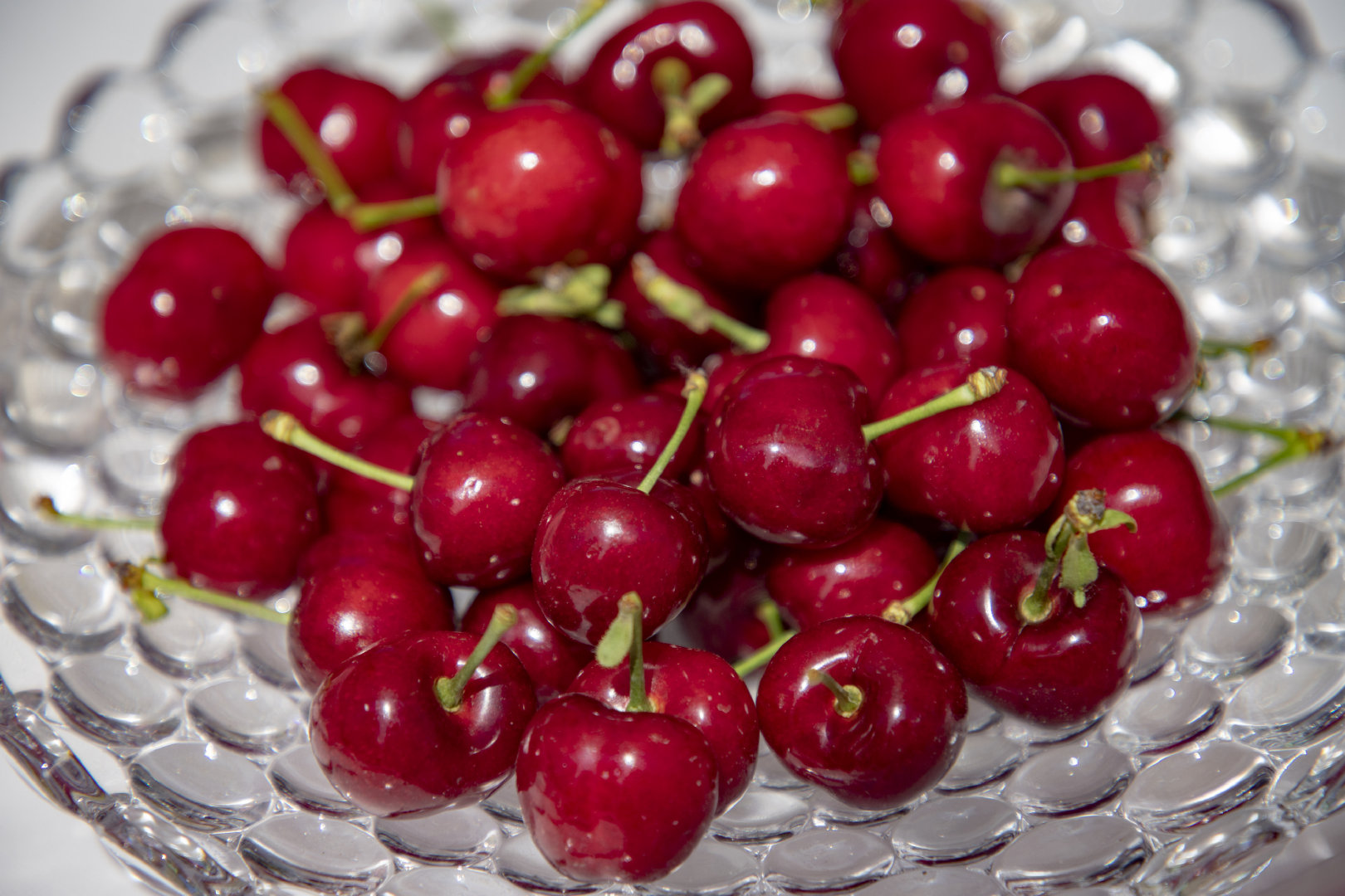 2019灞桥樱桃采摘文化旅游节启幕 樱桃红了只等你来