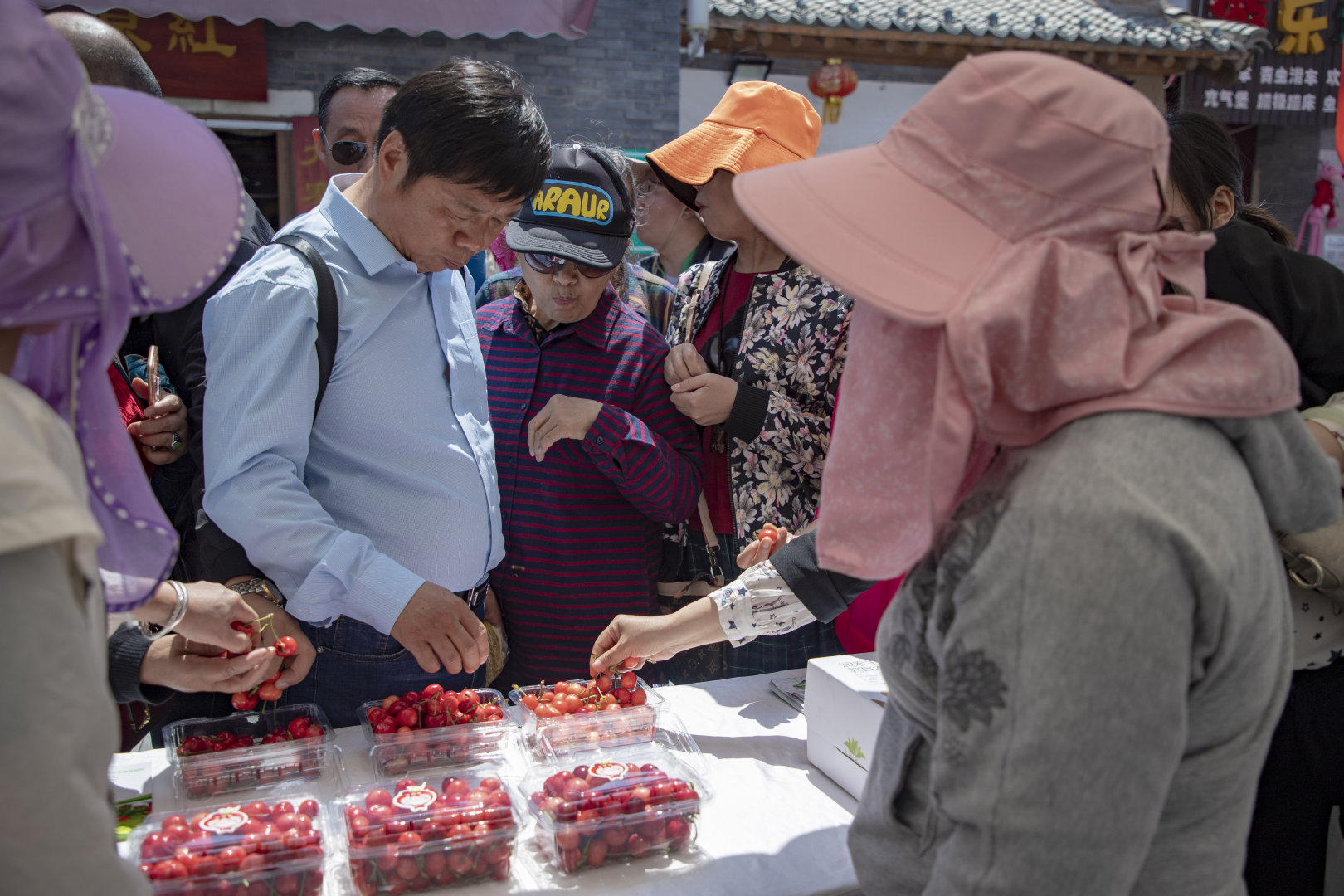 2019灞桥樱桃采摘文化旅游节启幕 樱桃红了只等你来