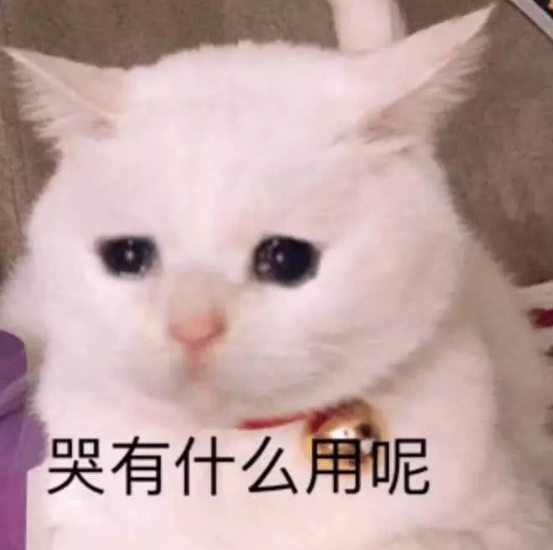 最后一组也是超级可爱的,尤其是这个准备投食,满脸的期 ..