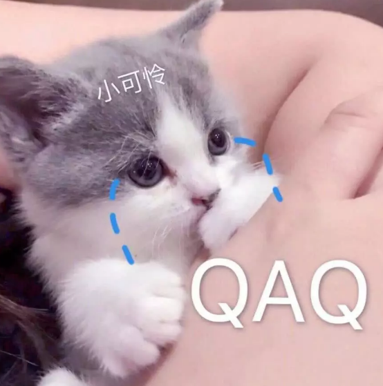 宠物卖萌委屈表情包:玩个球!"别说了我要哭了""哭有什么用"