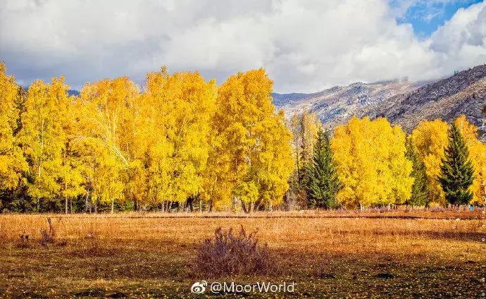 中国美景 新疆可可托海