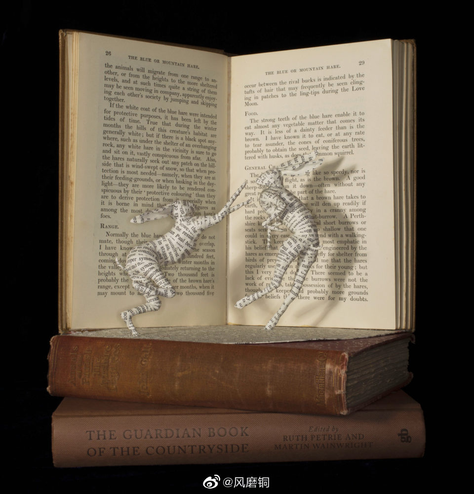 超视角,把旧书变成三维叙事雕塑|雕塑|雕塑家|书籍_新浪新闻