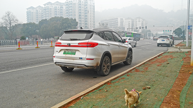 比亚迪占主流？带你了解四线城市的新能源车现状