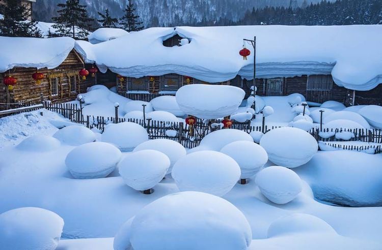 雪寒雅興鄉如意 醉美詩情銀畫時