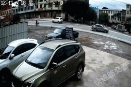 一组动图警示你:马路不是你家后院,任性乱行要付出血的代价!