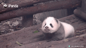 成都，带不走的，只有你