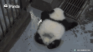 成都，带不走的，只有你