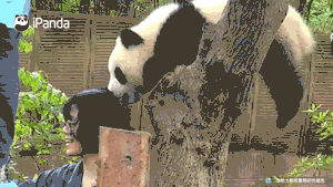 成都，带不走的，只有你