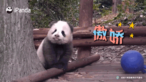 成都，带不走的，只有你