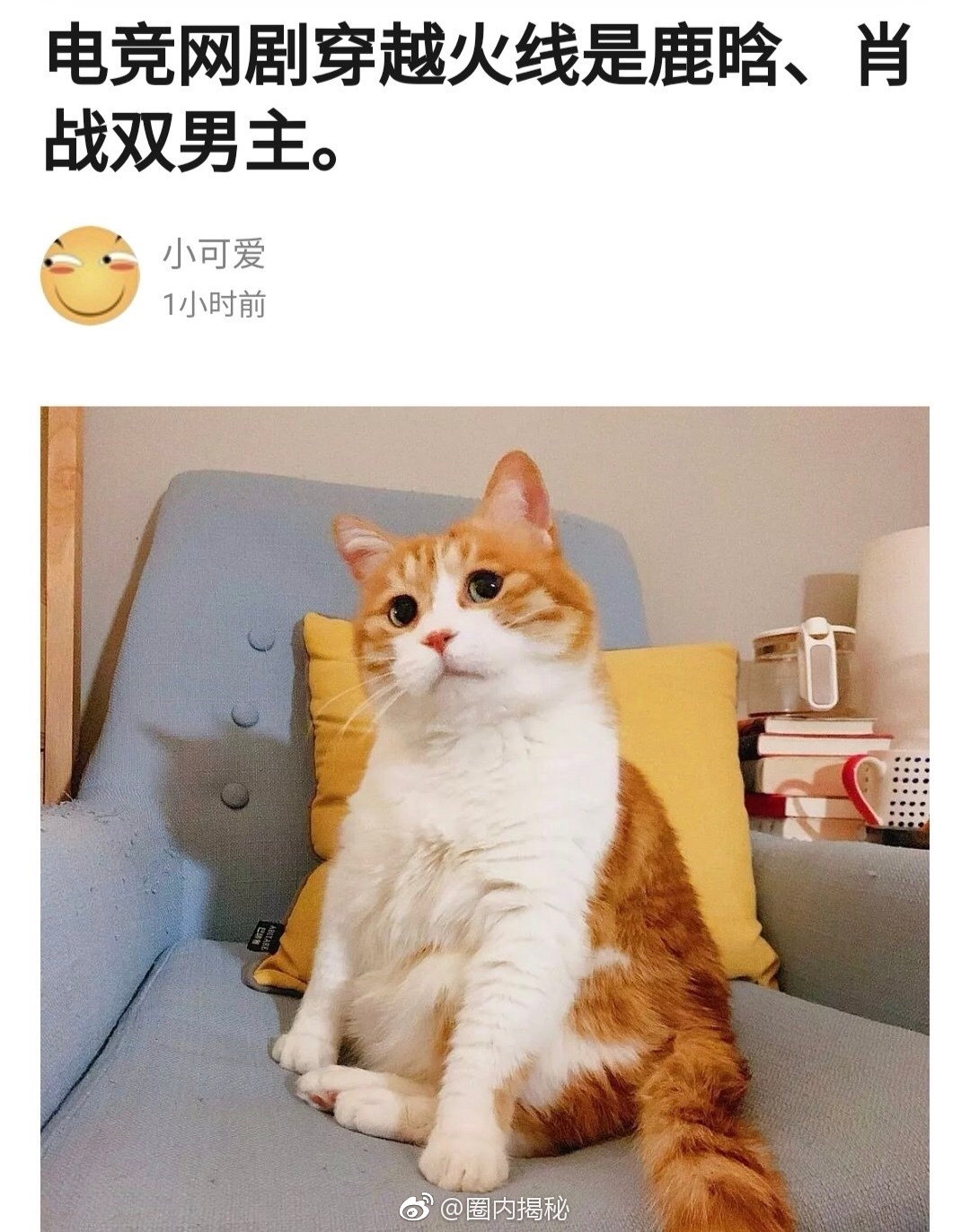 有爆料电竞网剧《穿越火线》是鹿晗和肖战双男