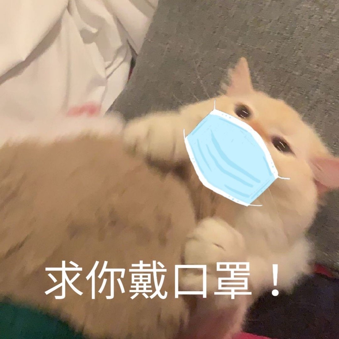 分享一组口罩表情包