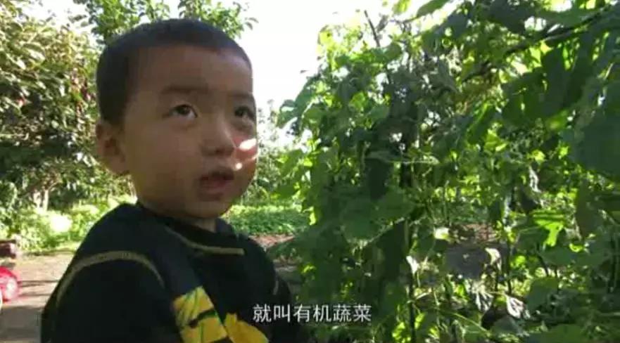豆瓣9.2,炮轰应试教育,这部猛片居然没禁 豆瓣9.2,炮轰应试教育,这部猛片居然没禁