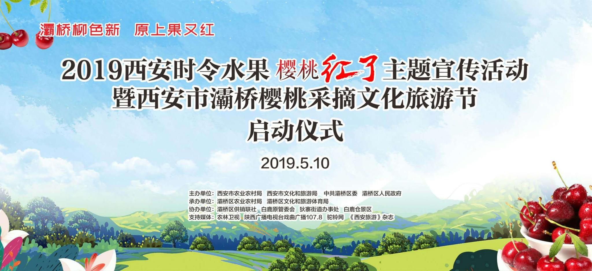 2019灞桥樱桃采摘文化旅游节启幕 樱桃红了只等你来