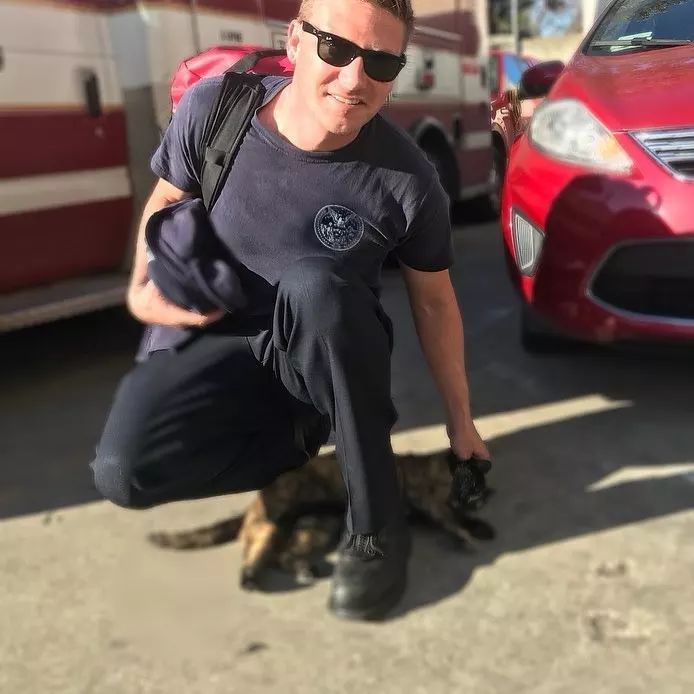 消防局的猫遭匿名投诉,消防员联合写信替它求