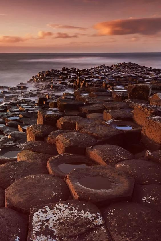 不可思议的蛙类世界,蛙类有哪些奇闻异事?...