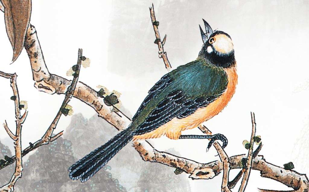 江南春色诗词精选二十三首春水碧于天,画船听雨眠 江南春色诗词精选二十三首 春水碧于天,画船听雨眠