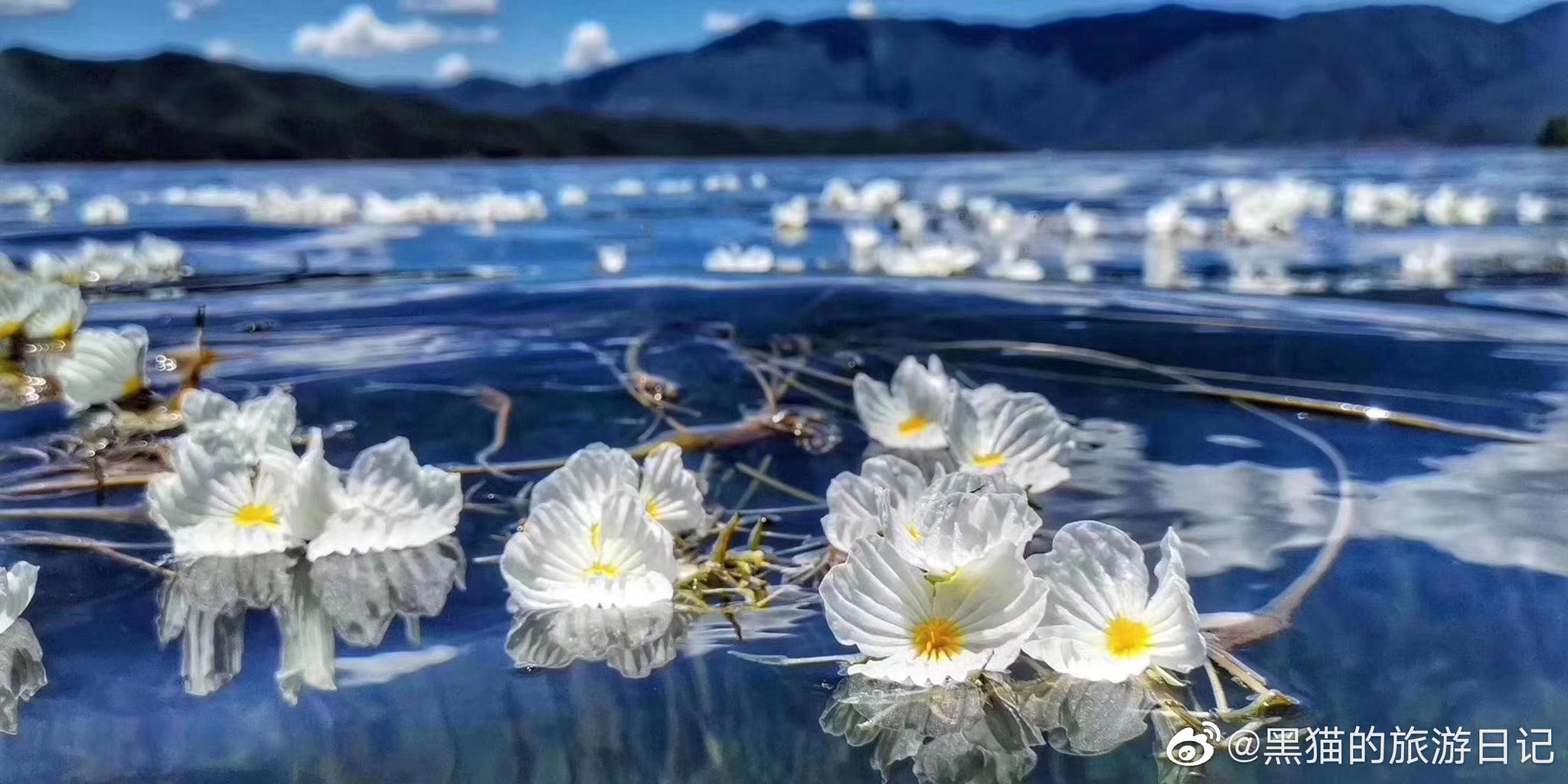 【美丽的赛里木湖摄影图片】赛里木湖生态摄影_飔风_太平洋电脑网摄影部落
