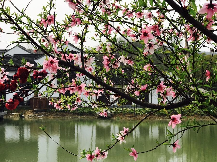 江南春色诗词精选二十三首春水碧于天,画船听雨眠 江南春色诗词精选二十三首 春水碧于天,画船听雨眠