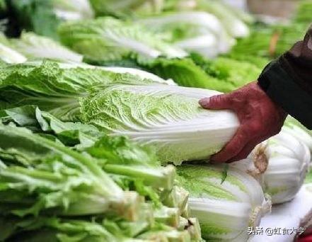 买白菜时看仔细，有这三个特征，白送也别拿，多半是“甲醛白菜”