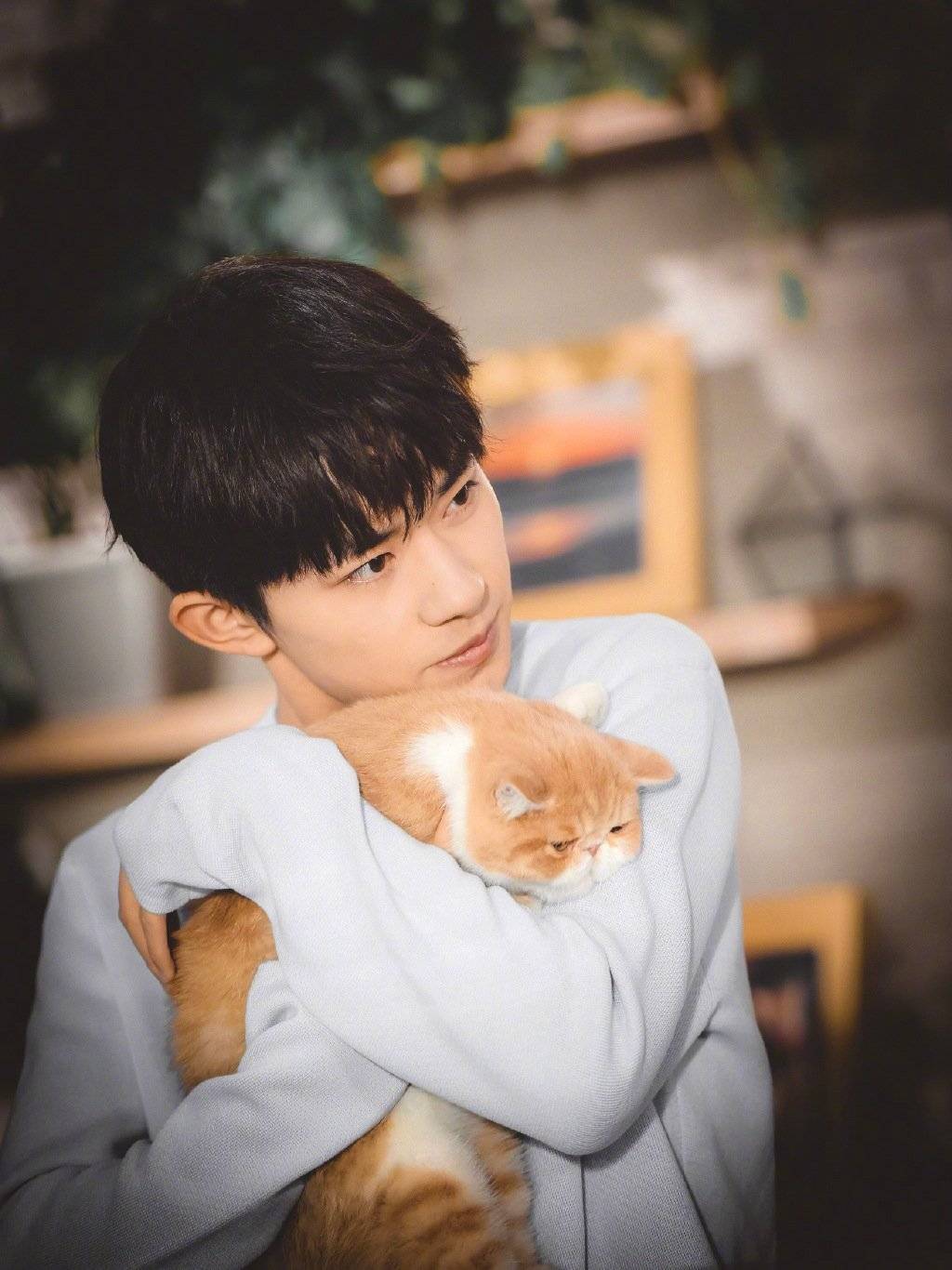 想当一只窝在易烊千玺怀里的猫|易烊千玺|猫_新浪网