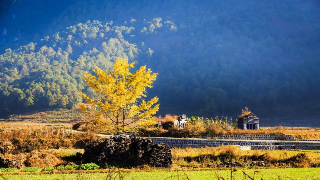 云南人为什么都爱去腾冲?