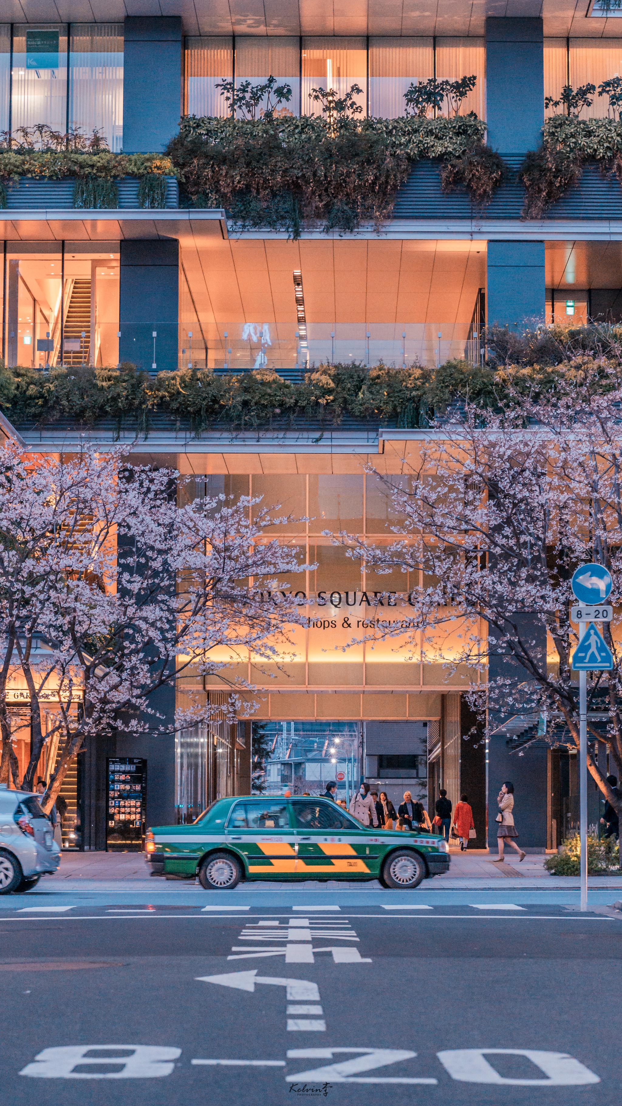 樱花季 仿佛一切都变温柔了 | 东京银座一丁目壁纸 | ke