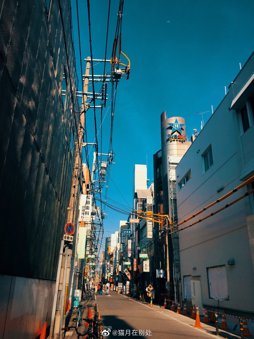 日本大阪@猫月在别处史上最坑爹的小游戏二通关视频图片