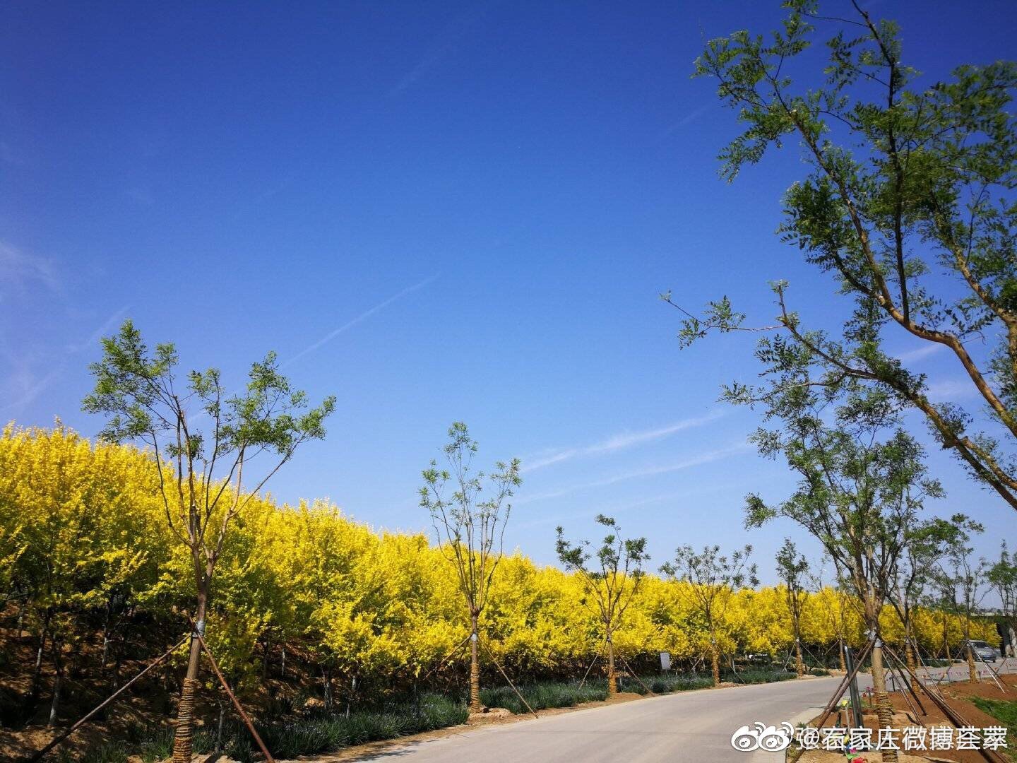 好天气的石家庄滹沱河