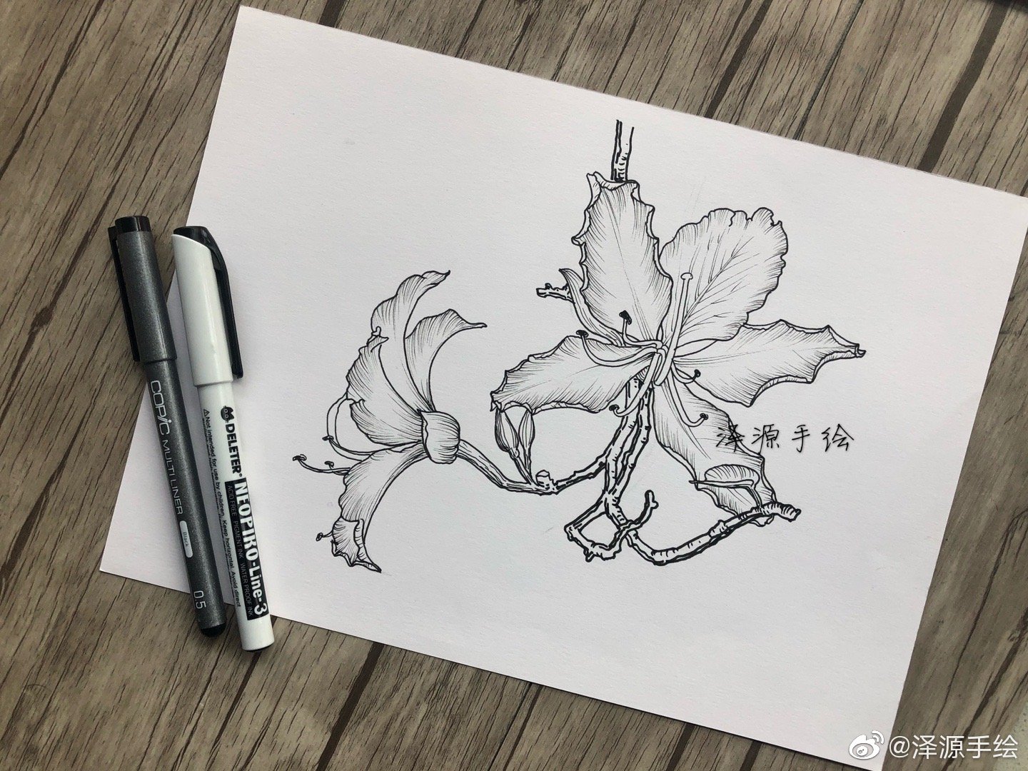 来看看小画家@泽源手绘 分享的经验:1,不用在意纸笔的高品质选择,只要