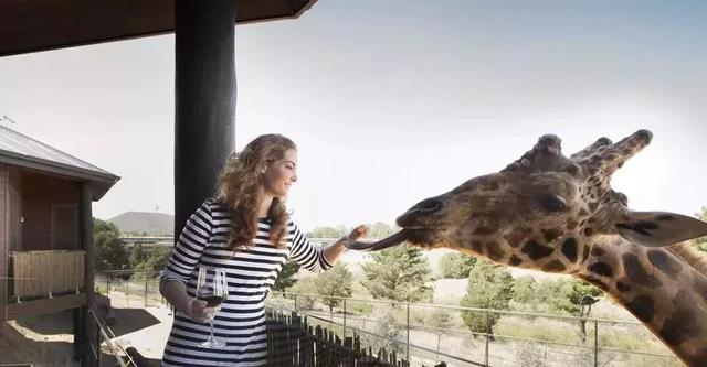 让你心痒痒的8家猎奇酒店,地球已经无法阻挡最时髦的旅行者