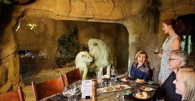 让你心痒痒的8家猎奇酒店,地球已经无法阻挡最时髦的旅行者