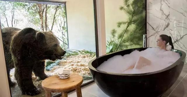 让你心痒痒的8家猎奇酒店,地球已经无法阻挡最时髦的旅行者