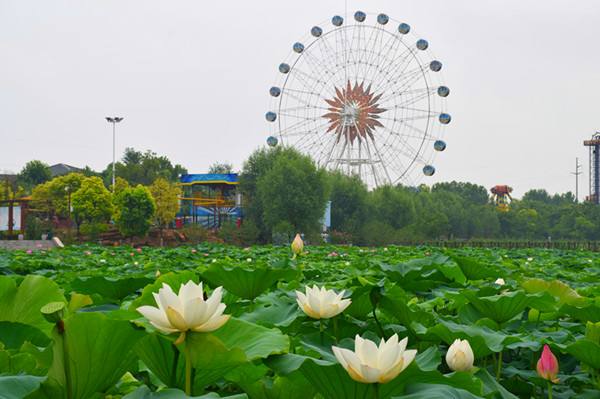 安徽各地摩天轮大盘点,最高的排名世界第四,却疑似烂尾!