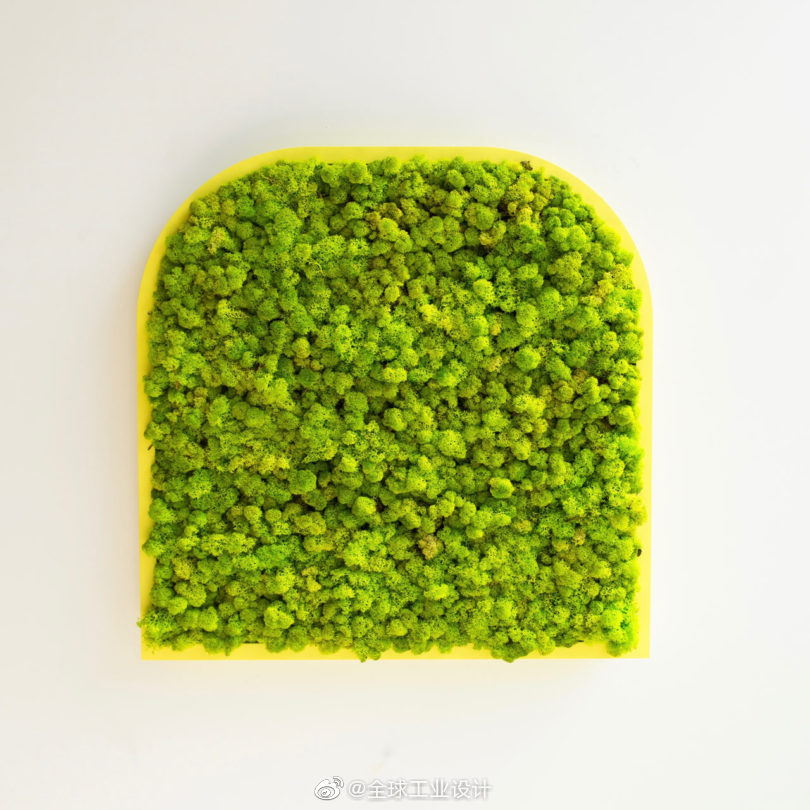 2020仿真植物墙十大_潮州古城区上水门街绿化墙植物残败,已恢复上水门
