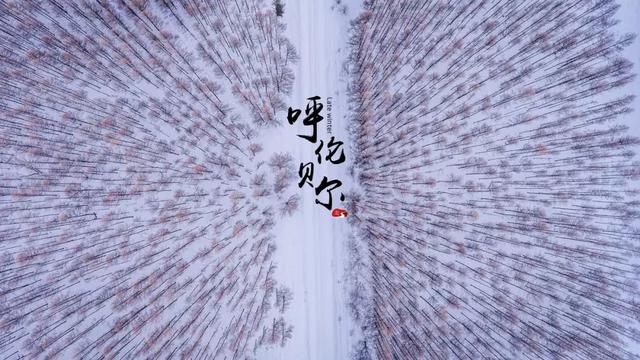 這個(gè)冬天，不去呼倫貝爾看雪就去三亞看海！