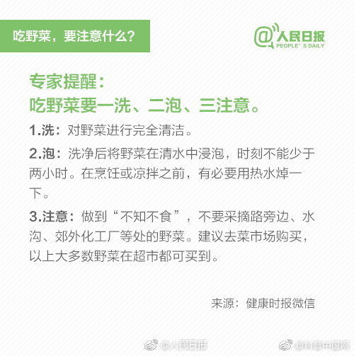 提醒！“野菜”不能随便吃，有的能致命