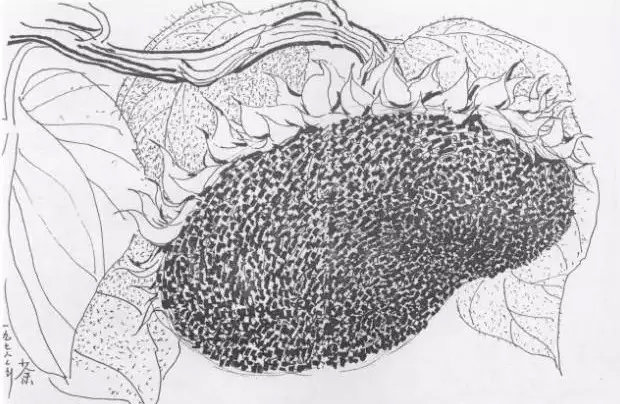 �й���ʦ�ǵ��ָ壬����֪���Լ��������ˣ�