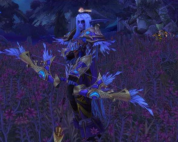 精锐 猎人 萨满图片