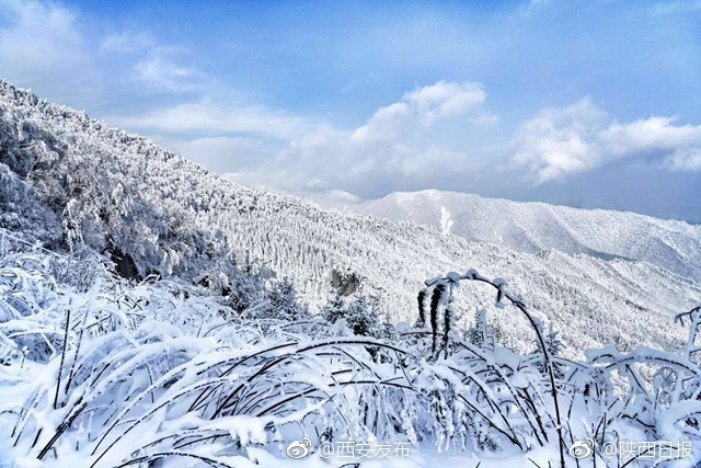 秦岭雪景宛如仙境