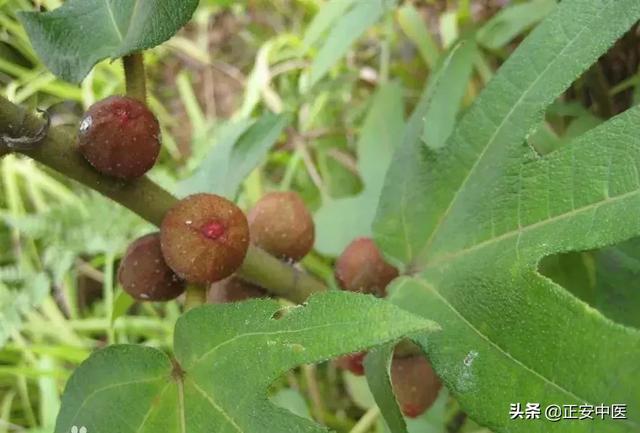 湿重乏力的人，推荐几个有效的祛湿保健方法