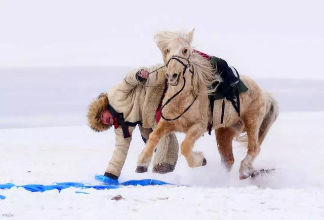 這個冬天，不去呼倫貝爾看雪就去三亞看海！