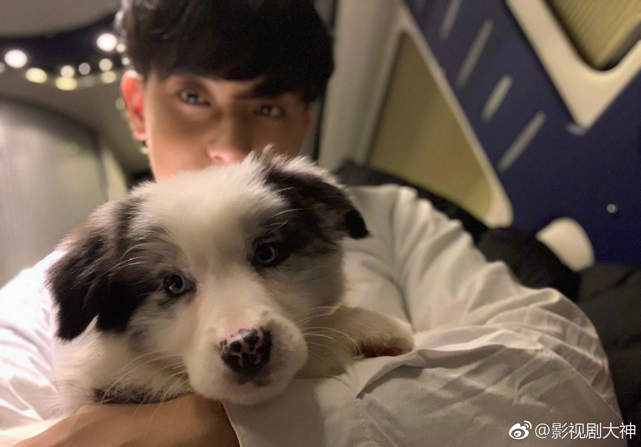 黄子韬发微博在给爱犬蓝陨喂食时,不慎被狗狗