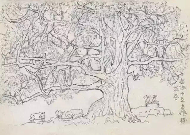 �й���ʦ�ǵ��ָ壬����֪���Լ��������ˣ�