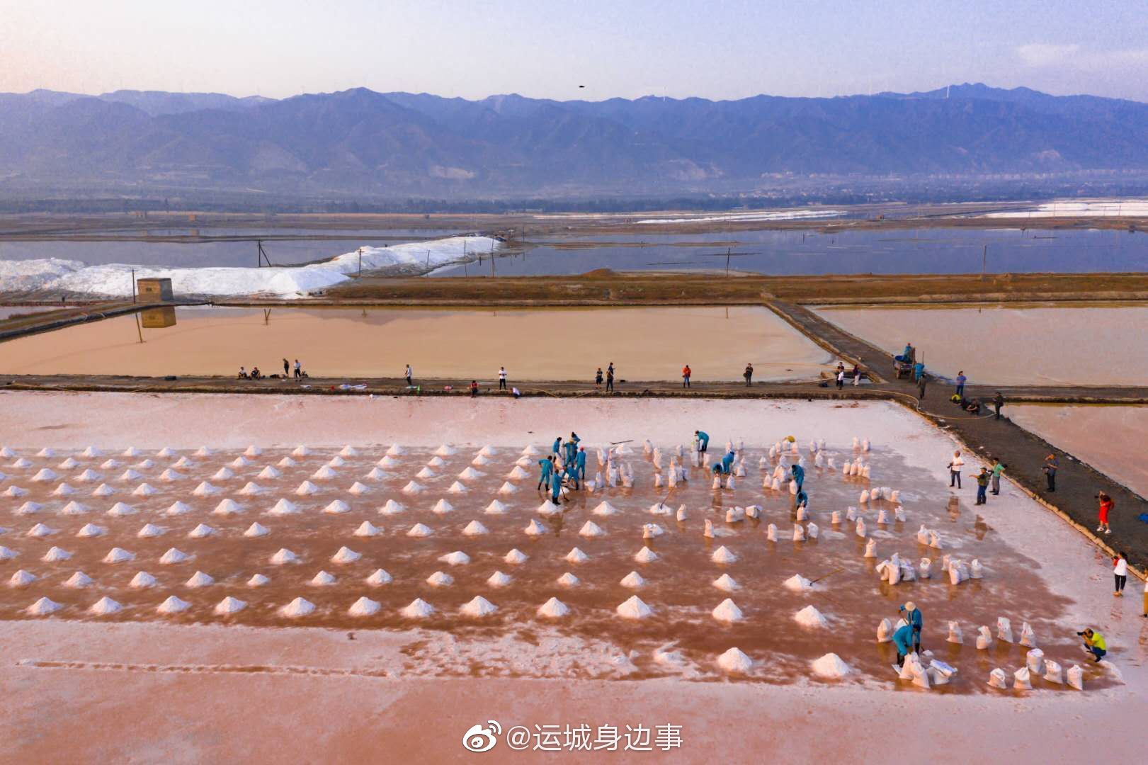 山西运城:夏日盐湖铲盐忙