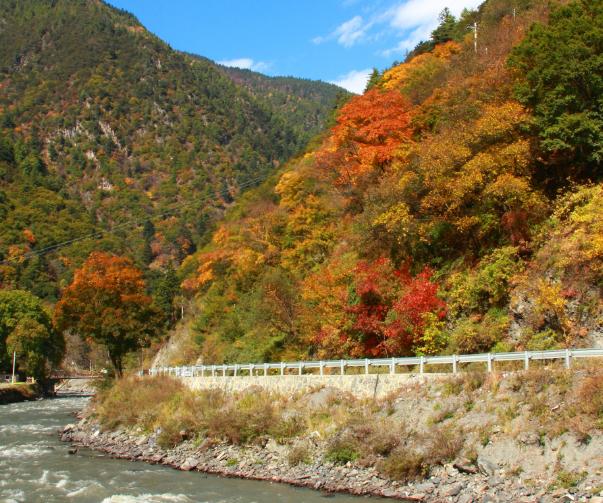 国内这个“枫叶景区”，比香山大180倍，被称中国的阿尔卑斯