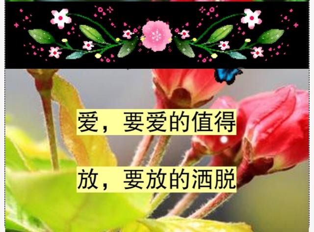 错就错在太爱你，句句入心！爱一个人，太苦了，爱错了你，伤透了