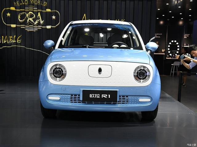 新能源领域百花齐放 值得推荐的产品有这些